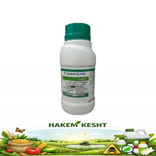 سوییچ سینجنتا