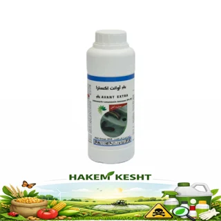 آوانت اکسترا رها اندیش