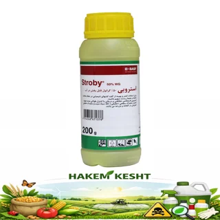 استروبی