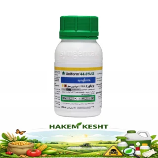 یونیفرم سینجنتا