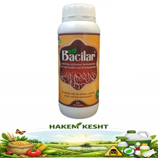 باسیلار