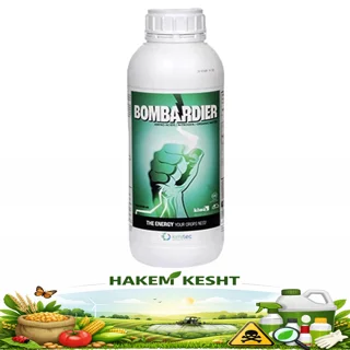 بمباردیر 1 لیتری