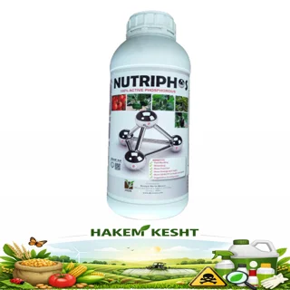 نوتریفوس 1 لیتری