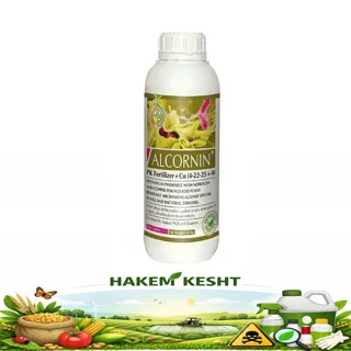 آلکورنین