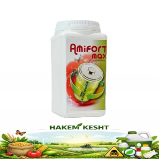 آمیفورت مکس 1 کیلویی